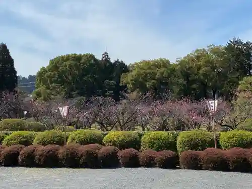 隨心院（随心院）の庭園