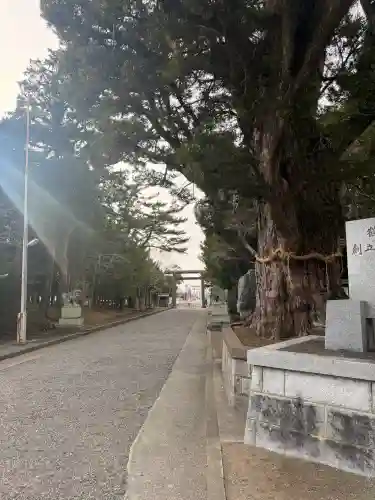 鶴谷八幡宮の{uncategorized: "未分類", other: "その他", undefined: "問題あり", building: "その他建物", grave: "お墓", sacred_gate: "鳥居", guardian: "狛犬", statue: "像", buddha: "仏像", history: "歴史", nature: "自然", garden: "庭園", animal: "動物", pagoda: "塔", temizu: "手水舎", mountain_gate: "山門・神門", sanctuary: "本殿・本堂", subordinate: "末社・摂社", art: "芸術", scenery: "景色", jizo: "地蔵", ema: "絵馬", goshuin: "御朱印", omikuji: "おみくじ", items: "授与品その他", amulet: "お守り", goshuincho: "御朱印帳", eats: "食事", festival: "お祭り", votive_dance: "神楽", shichigosan: "七五三参", wedding: "結婚式", experience: "体験その他", initially: "初詣", around: "周辺", anti_infection: "感染症対策"}