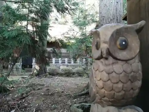 國王神社の狛犬