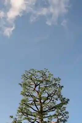 鞍馬寺(京都府)