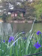 厳島神社(東京都)