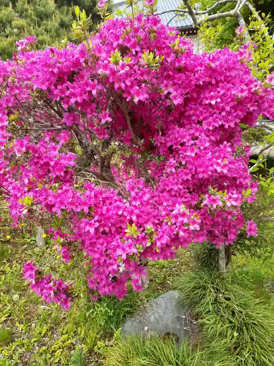 長谷寺(岩手県)