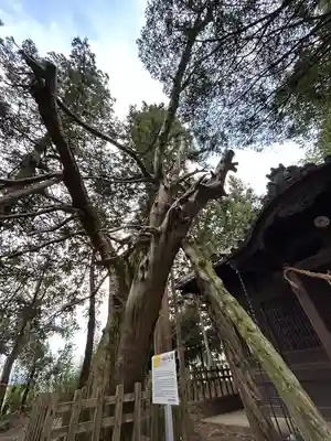 小俣諏訪社(長野県)