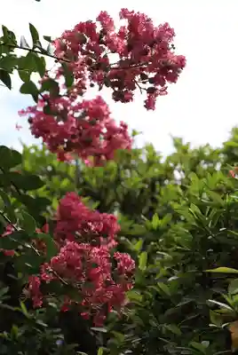 長岳寺(奈良県)