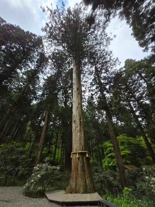 御岩神社(茨城県)