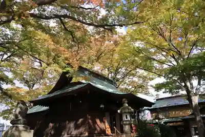 愛宕神社の本殿・本堂