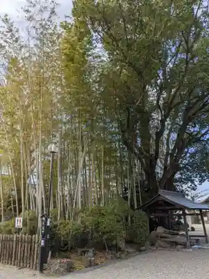 大安寺のその他建物