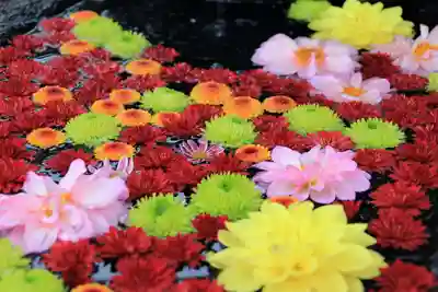 大鏑神社の手水舎