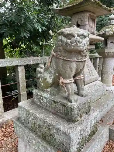 日吉神社の狛犬