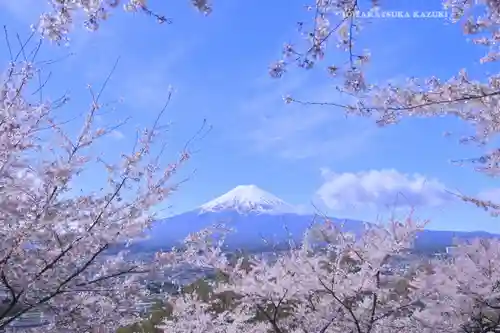 新倉富士浅間神社(山梨県)