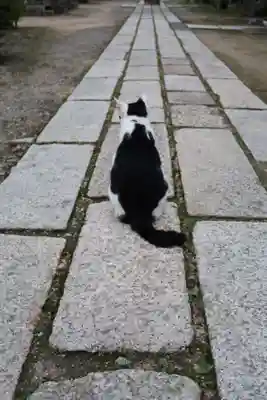 観音正寺(滋賀県)