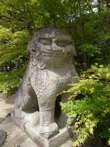 晴明神社の狛犬