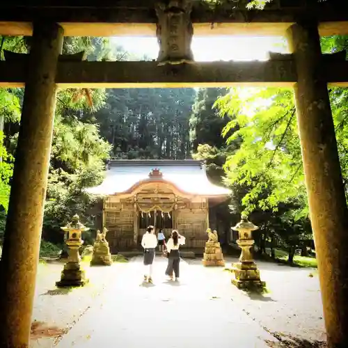 有子山稲荷神社の鳥居