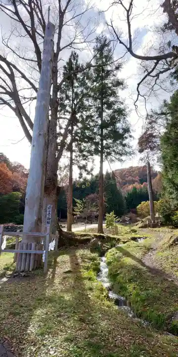 諏訪大社上社前宮の自然