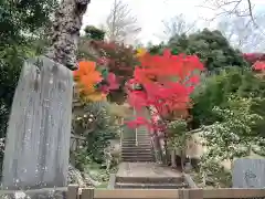 満昌寺の建物その他