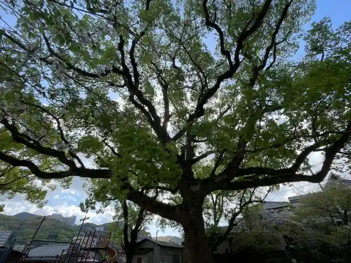 菅原神社(長崎県)