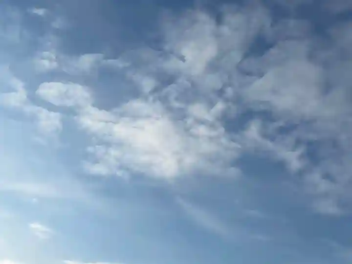 白石神社の自然