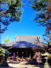 寛永寺(根本中堂)(東京都)