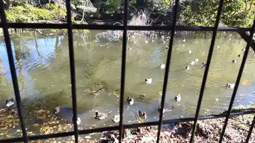 菊田神社の庭園