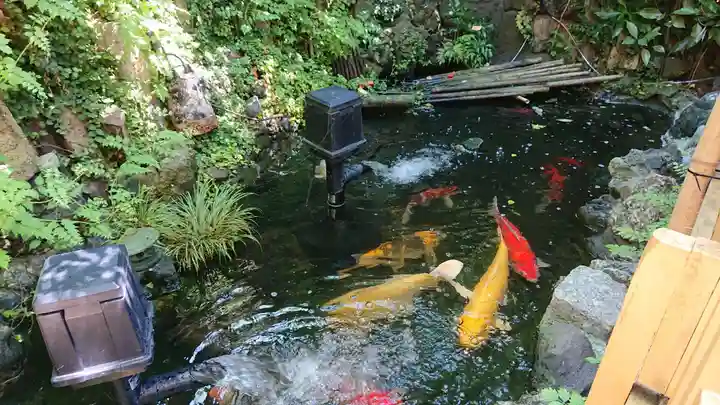 吉原弁財天本宮(吉原神社奥宮)の庭園