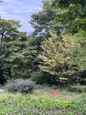 石清水八幡宮(京都府)