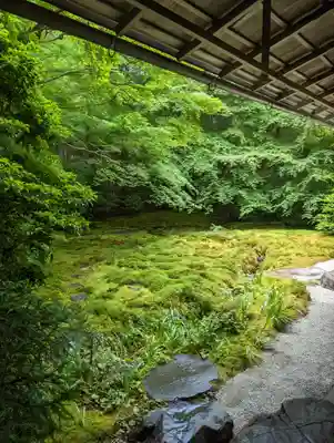 光明寺瑠璃光院(京都府)