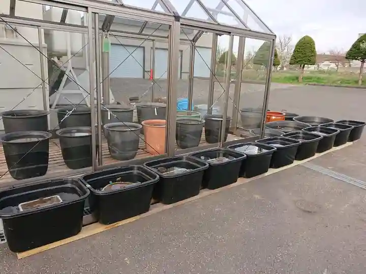 極楽山 浄土寺のその他建物