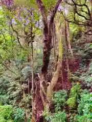 白瀧神社(茨城県)