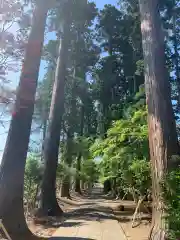 八幡宮の建物その他