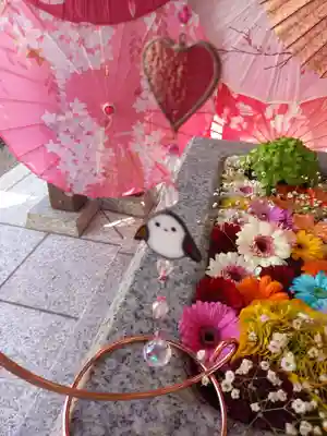 どのお花もきれい✨