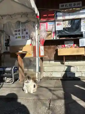 賀茂別雷神社の{uncategorized: "未分類", other: "その他", undefined: "問題あり", building: "その他建物", grave: "お墓", sacred_gate: "鳥居", guardian: "狛犬", statue: "像", buddha: "仏像", history: "歴史", nature: "自然", garden: "庭園", animal: "動物", pagoda: "塔", temizu: "手水舎", mountain_gate: "山門・神門", sanctuary: "本殿・本堂", subordinate: "末社・摂社", art: "芸術", scenery: "景色", jizo: "地蔵", ema: "絵馬", goshuin: "御朱印", omikuji: "おみくじ", items: "授与品その他", amulet: "お守り", goshuincho: "御朱印帳", eats: "食事", festival: "お祭り", votive_dance: "神楽", shichigosan: "七五三参", wedding: "結婚式", experience: "体験その他", initially: "初詣", around: "周辺", anti_infection: "感染症対策"}