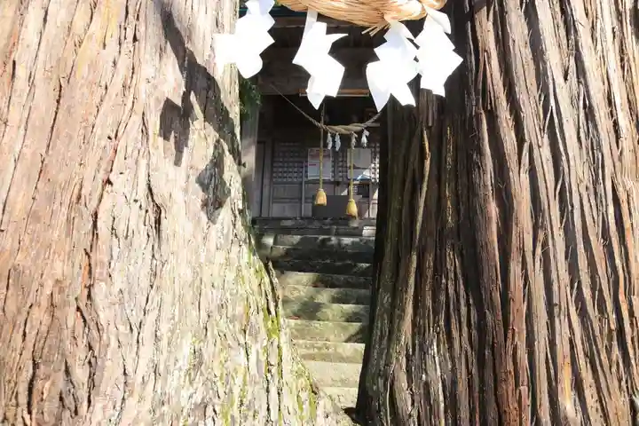 菅布禰神社の自然