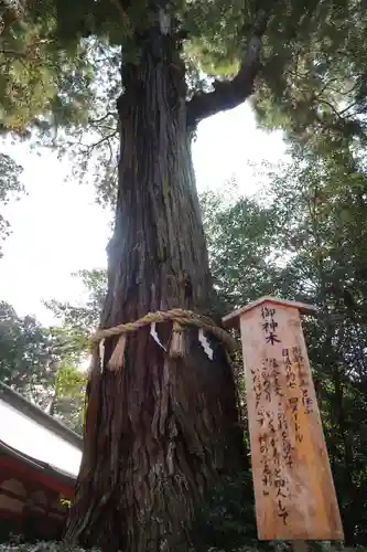 香取神宮の自然