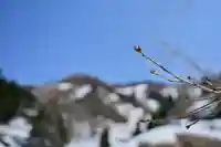 高龍神社 奥之院(新潟県)