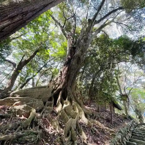 倭姫宮（皇大神宮別宮）(三重県)