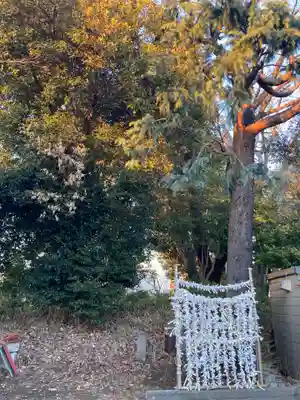 高田天満宮(神奈川県)