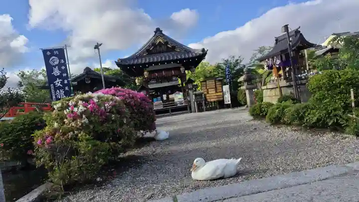 神泉苑(京都府)