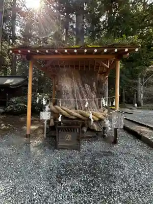 小國神社の{uncategorized: "未分類", other: "その他", undefined: "問題あり", building: "その他建物", grave: "お墓", sacred_gate: "鳥居", guardian: "狛犬", statue: "像", buddha: "仏像", history: "歴史", nature: "自然", garden: "庭園", animal: "動物", pagoda: "塔", temizu: "手水舎", mountain_gate: "山門・神門", sanctuary: "本殿・本堂", subordinate: "末社・摂社", art: "芸術", scenery: "景色", jizo: "地蔵", ema: "絵馬", goshuin: "御朱印", omikuji: "おみくじ", items: "授与品その他", amulet: "お守り", goshuincho: "御朱印帳", eats: "食事", festival: "お祭り", votive_dance: "神楽", shichigosan: "七五三参", wedding: "結婚式", experience: "体験その他", initially: "初詣", around: "周辺", anti_infection: "感染症対策"}