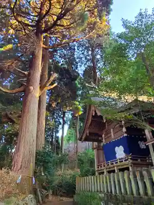高森阿蘇神社(熊本県)