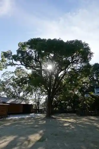 垂水神社の自然