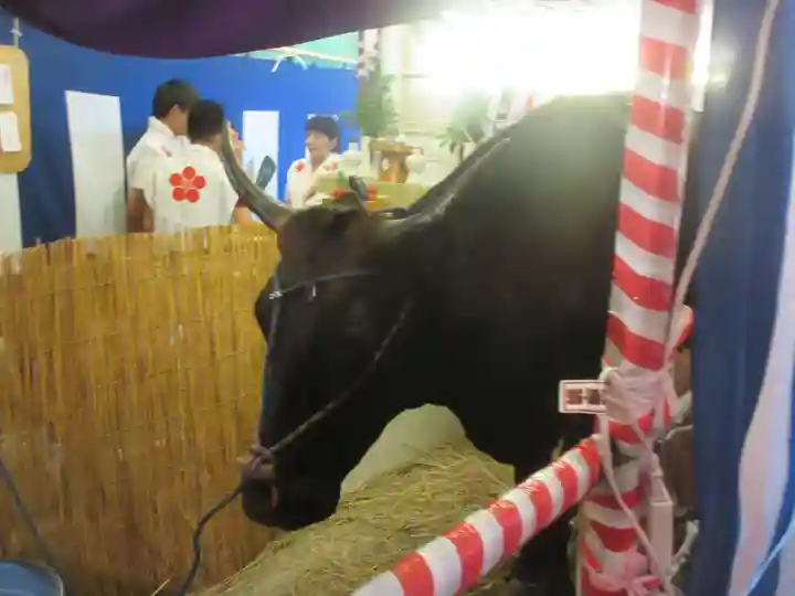 大阪天満宮の動物