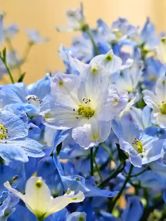 美幌神社(北海道)