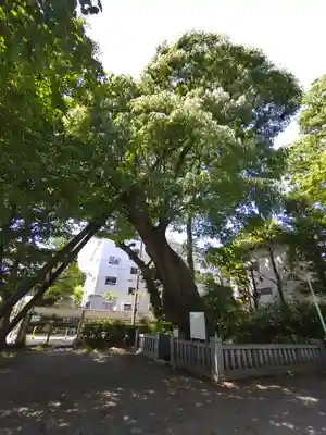 青渭神社(東京都)