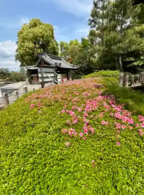 城南宮(京都府)