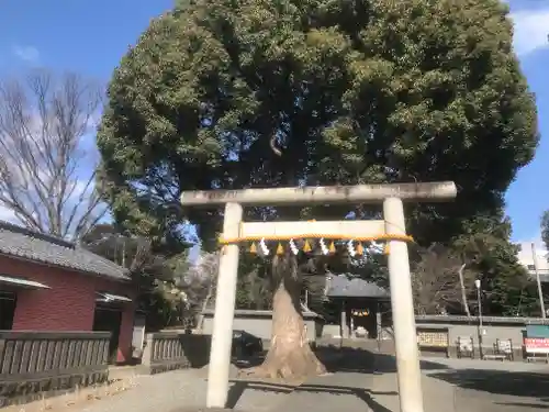 日吉浅間神社(静岡県)