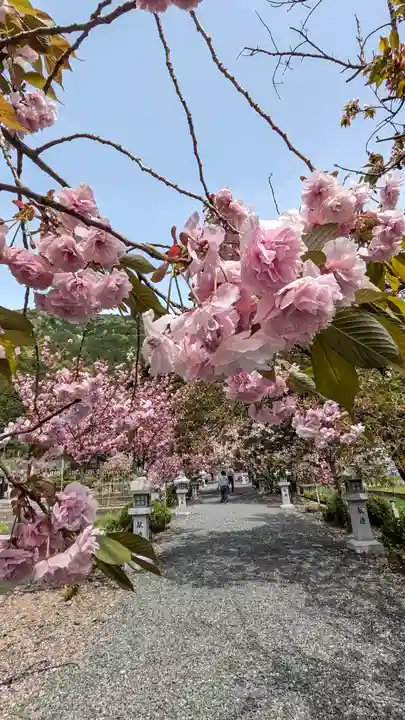 伊香具神社(滋賀県)