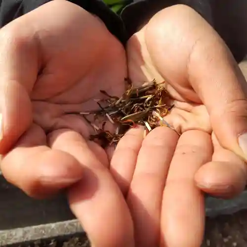 七重浜海津見神社(北海道)