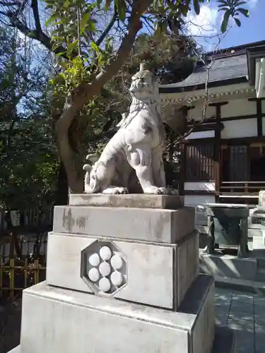 鳥越神社の狛犬