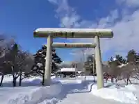 札幌護國神社の鳥居