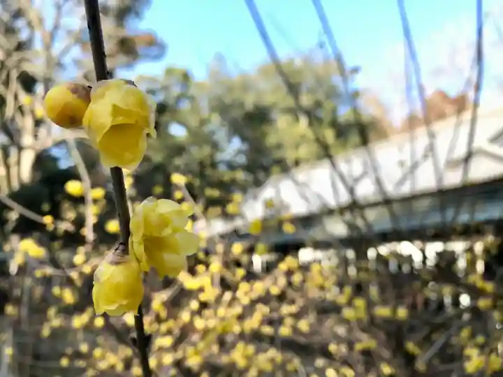 小御門神社の自然